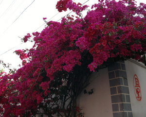 會東縣七個(gè)鄉(xiāng)鎮(zhèn)污水處理廠（站）