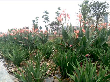 四川工商學院污水處理站